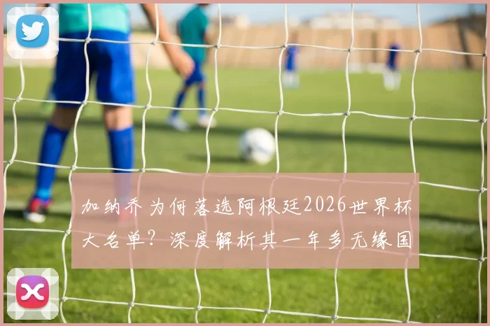 加纳乔为何落选阿根廷2026世界杯大名单?深度解析其一年多无缘国家队原因与未来前景