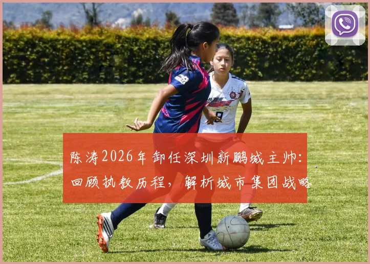 陈涛2026年卸任深圳新鹏城主帅:回顾执教历程,解析城市集团战略与球队未来主帅人选展望